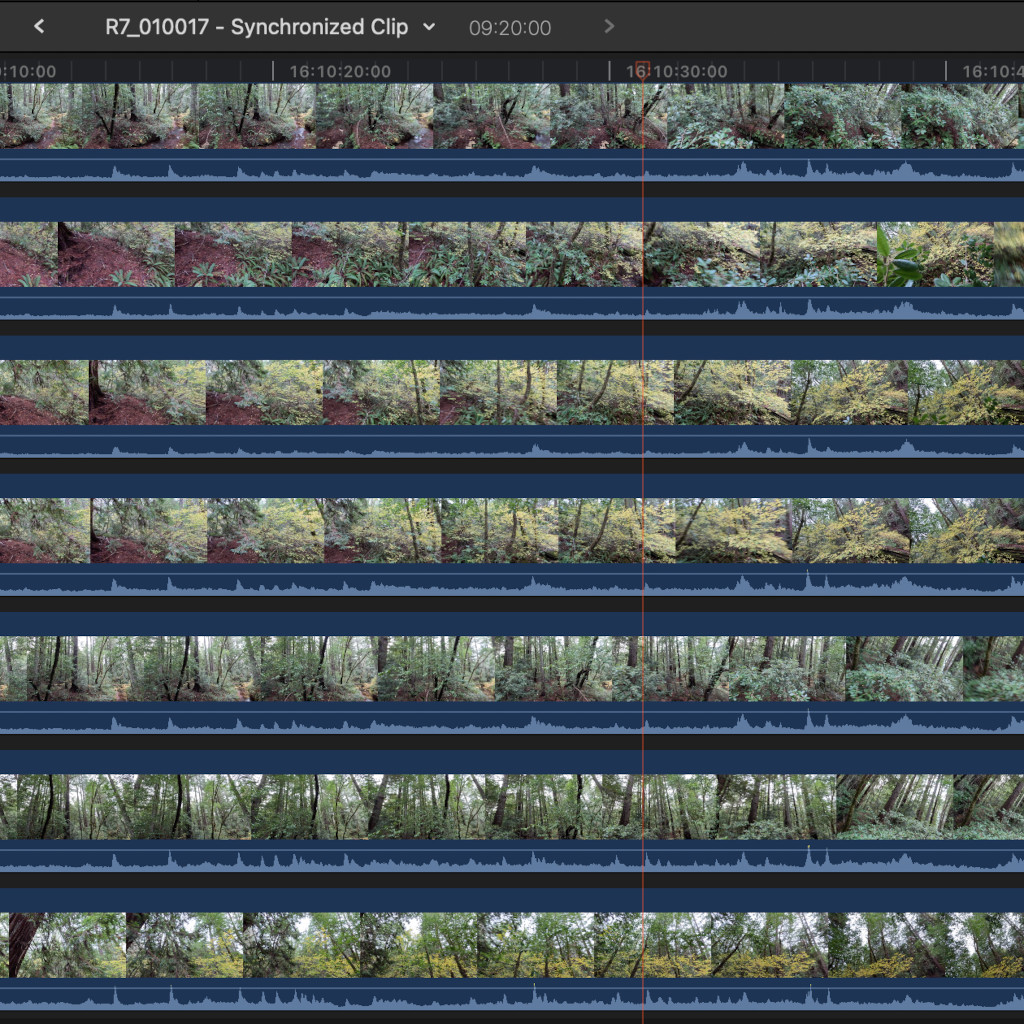 Synchronized Array Cameras